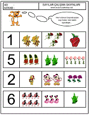 okul öncesi çocuklar için sayı çalışmaları